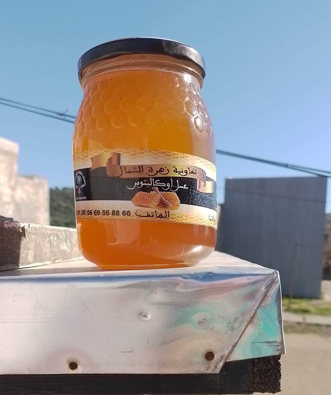 miel d'eucalyptus ( عسل الكالبتوس) miel d'eucalyptus ( عسل الكالبتوس)