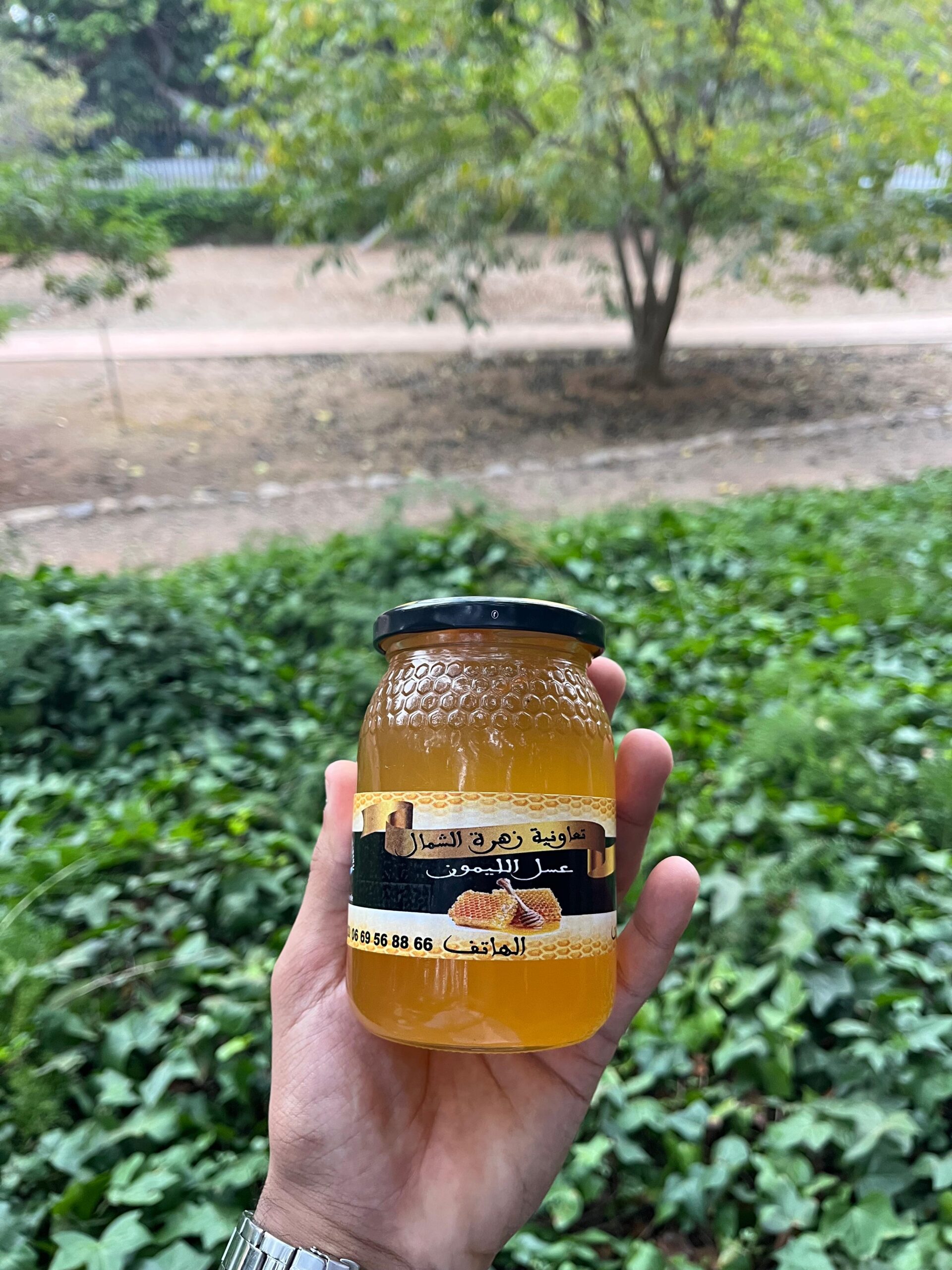 miel de citronnier (عسل الليمون) miel de citronnier (عسل الليمون)