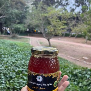 miel de thym (عسل الزعتر)