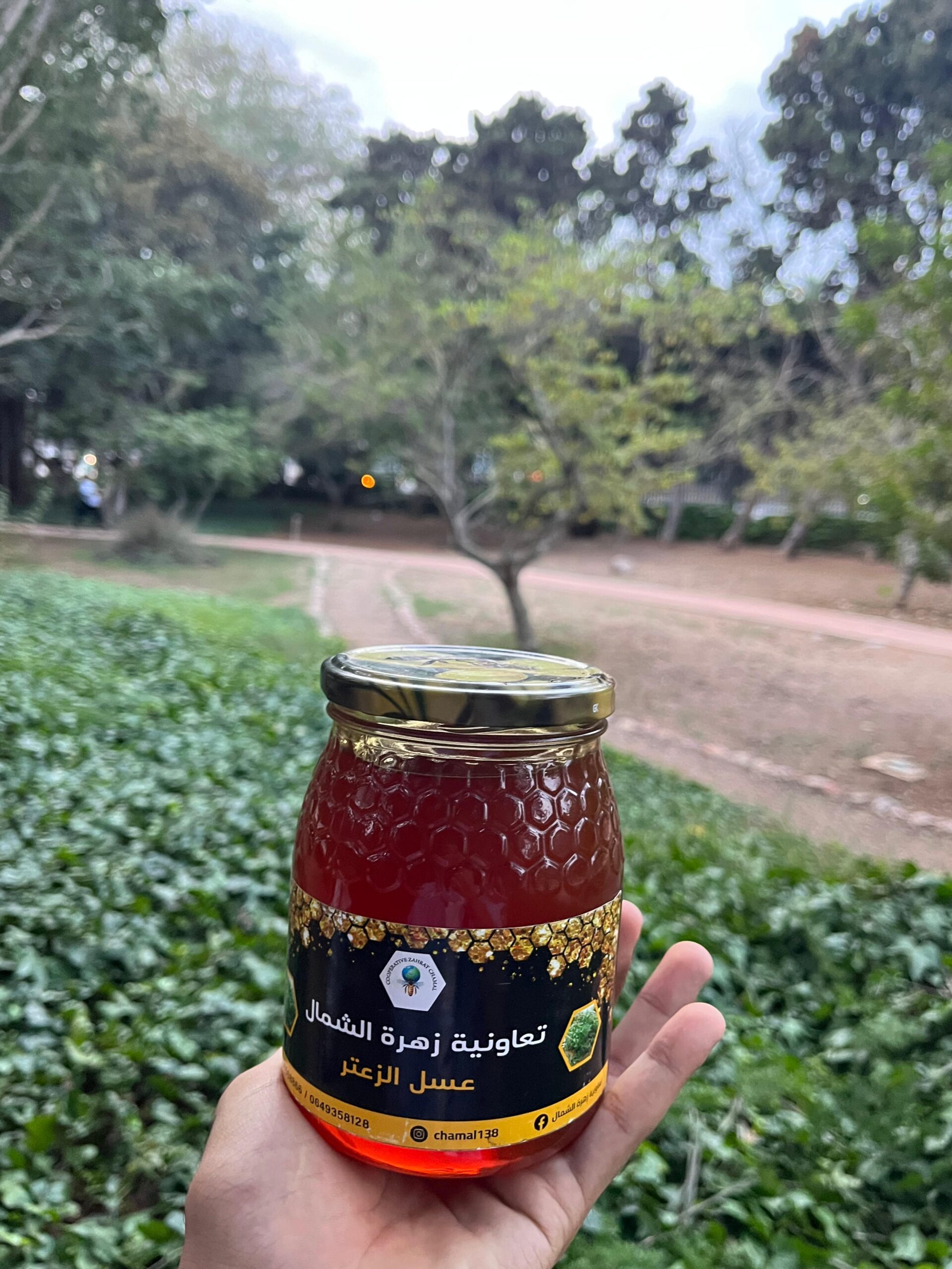 miel de thym (عسل الزعتر) miel de thym (عسل الزعتر)