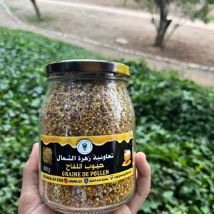 grains de pollen (حبوب اللقاح)