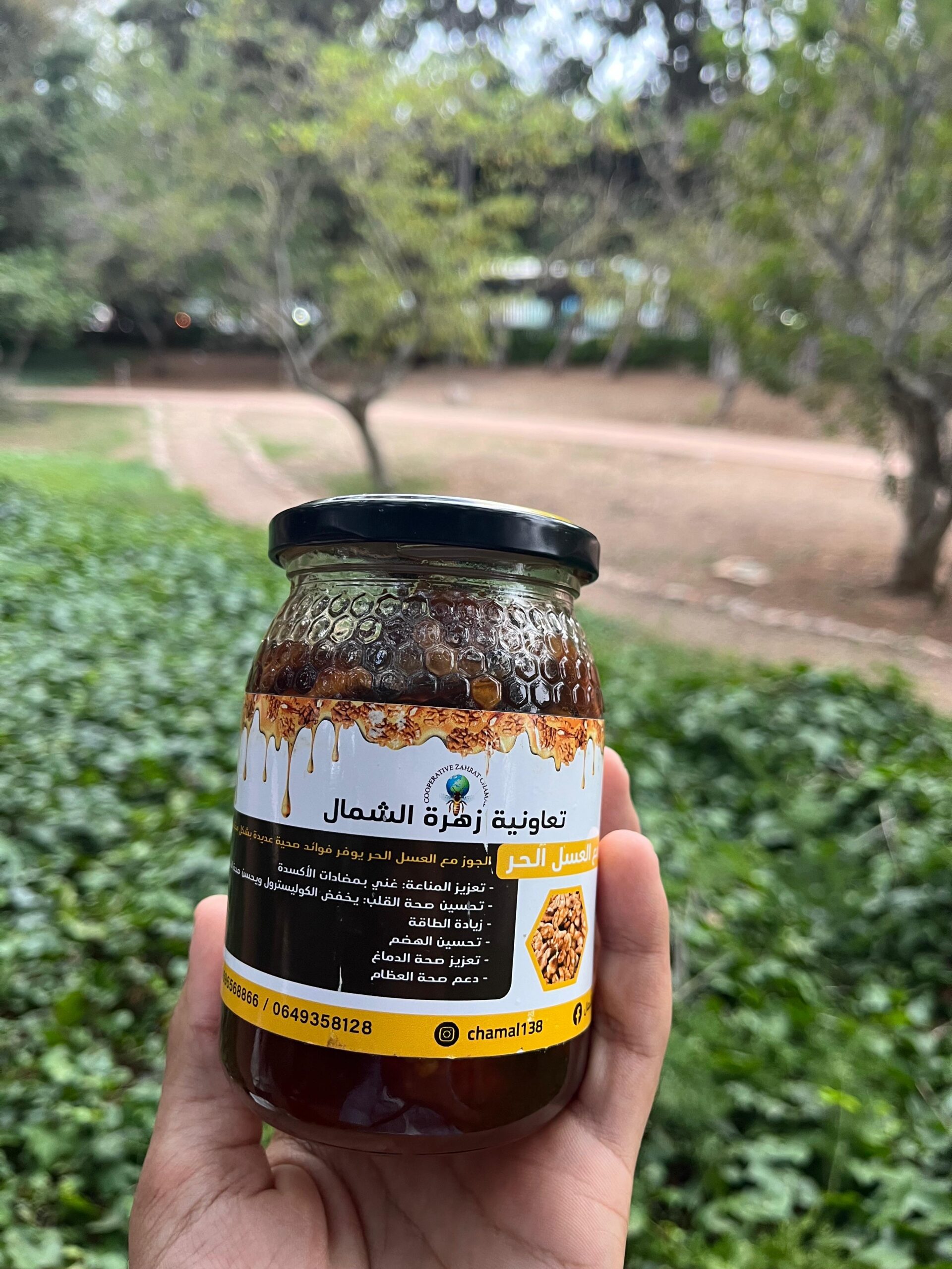 noix au miel (الجوز بالعسل) noix au miel (الجوز بالعسل)