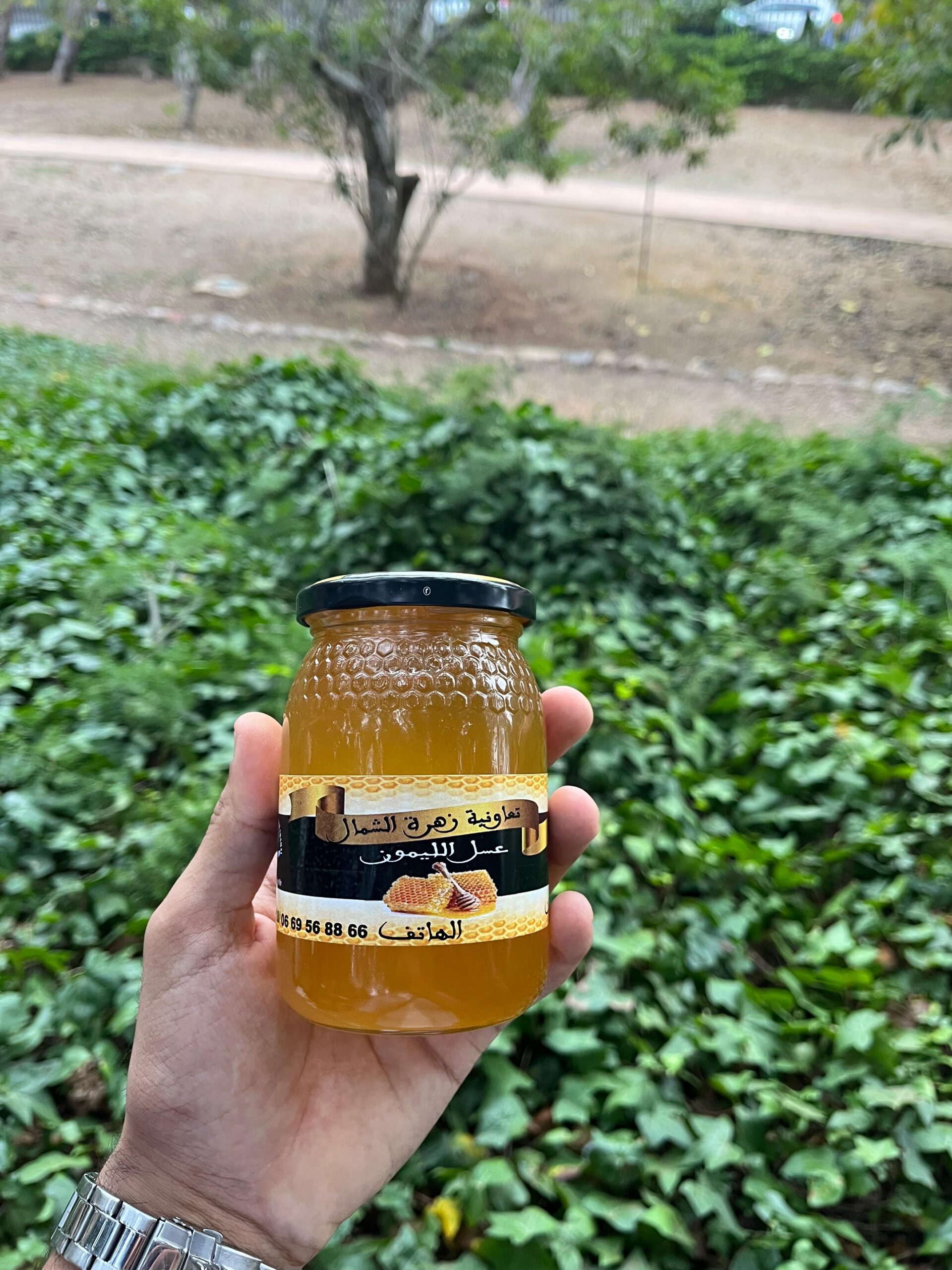 miel de citronnier (عسل الليمون) miel de citronnier (عسل الليمون)