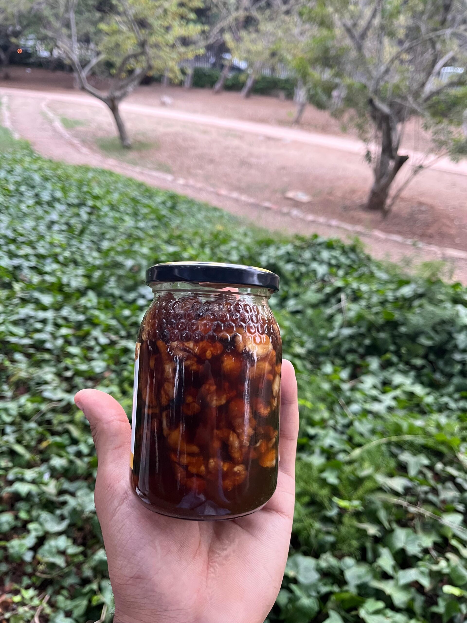 noix au miel (الجوز بالعسل) noix au miel (الجوز بالعسل)