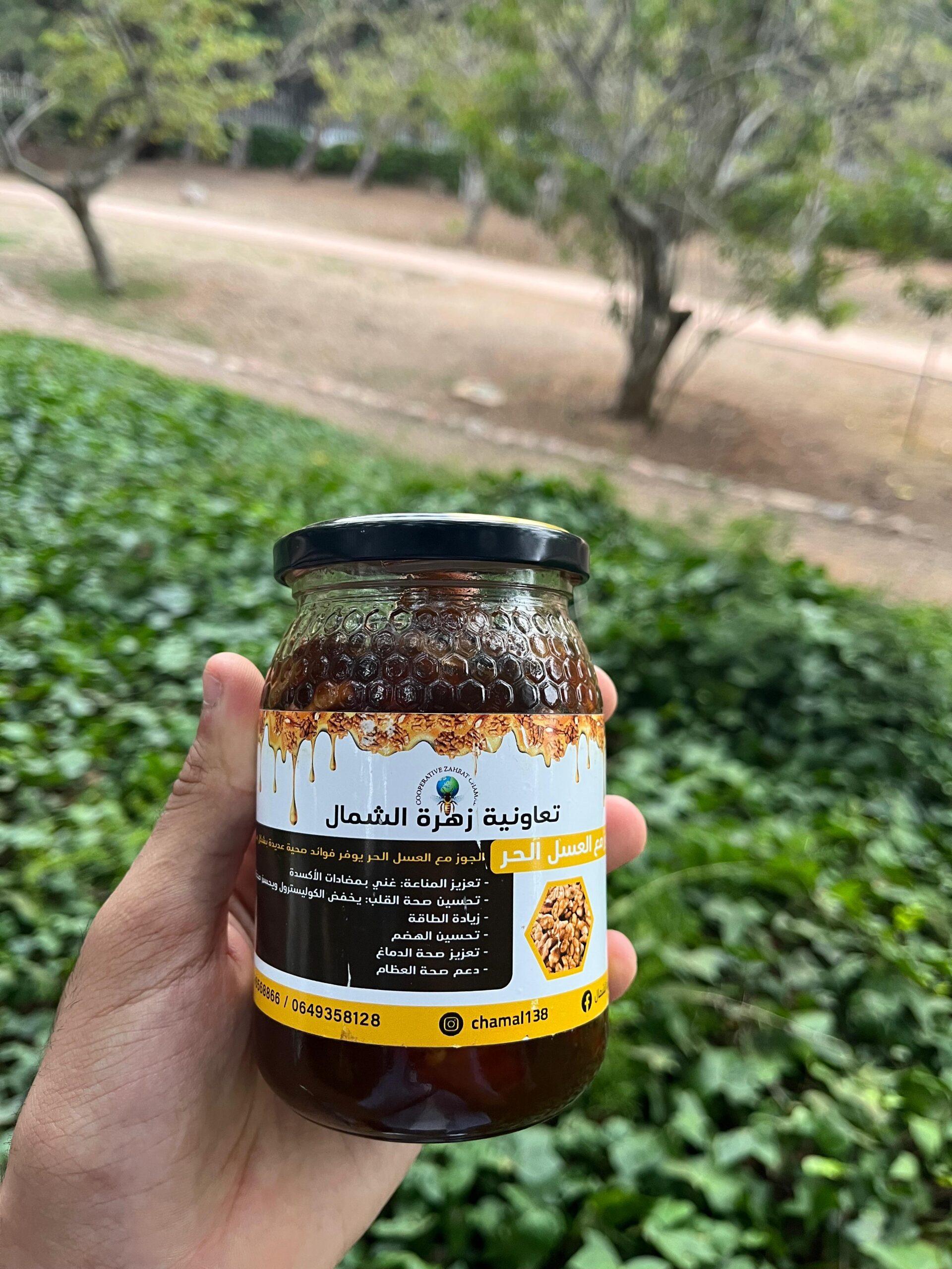 noix au miel (الجوز بالعسل) noix au miel (الجوز بالعسل)