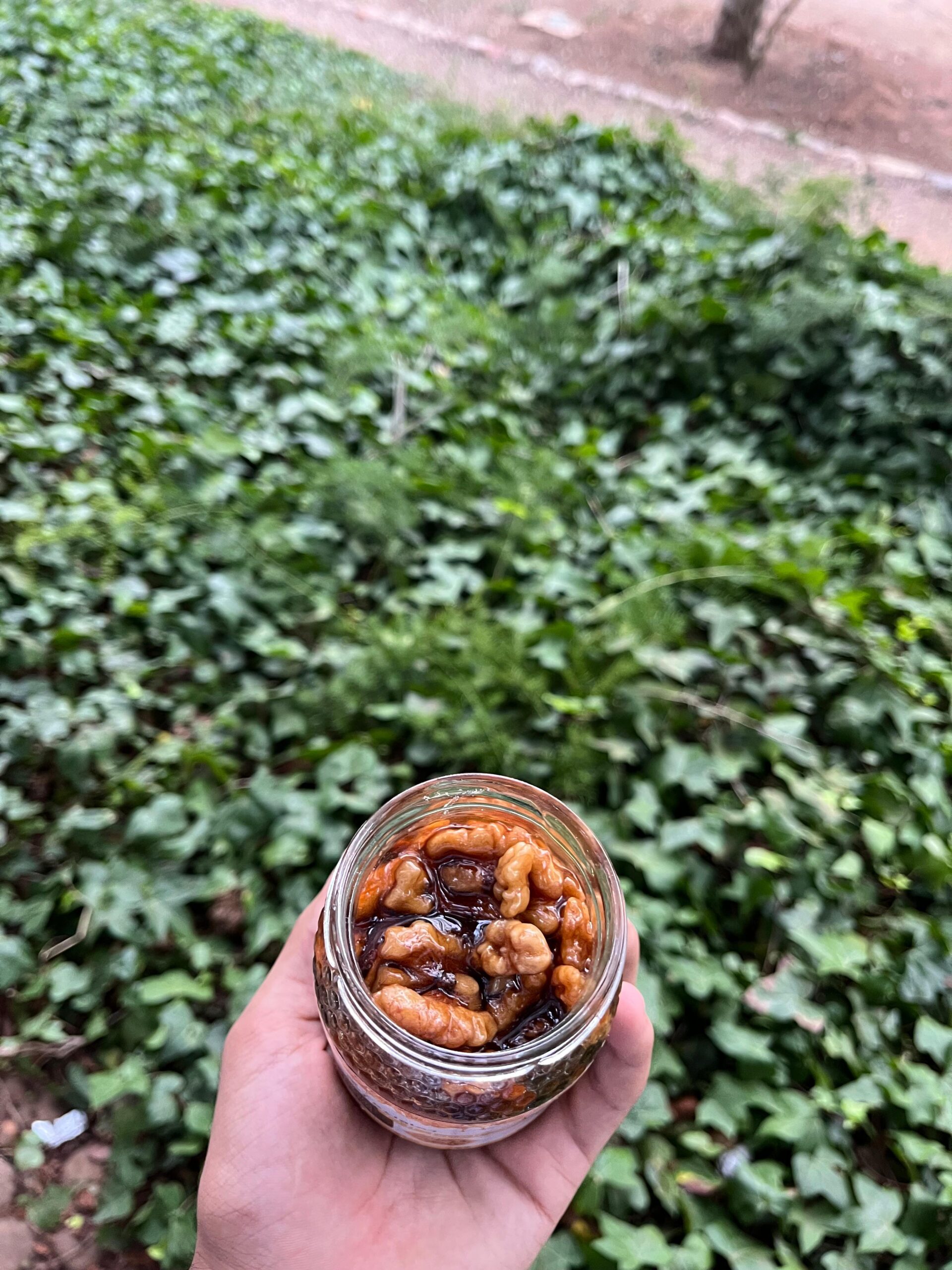 noix au miel (الجوز بالعسل) noix au miel (الجوز بالعسل)