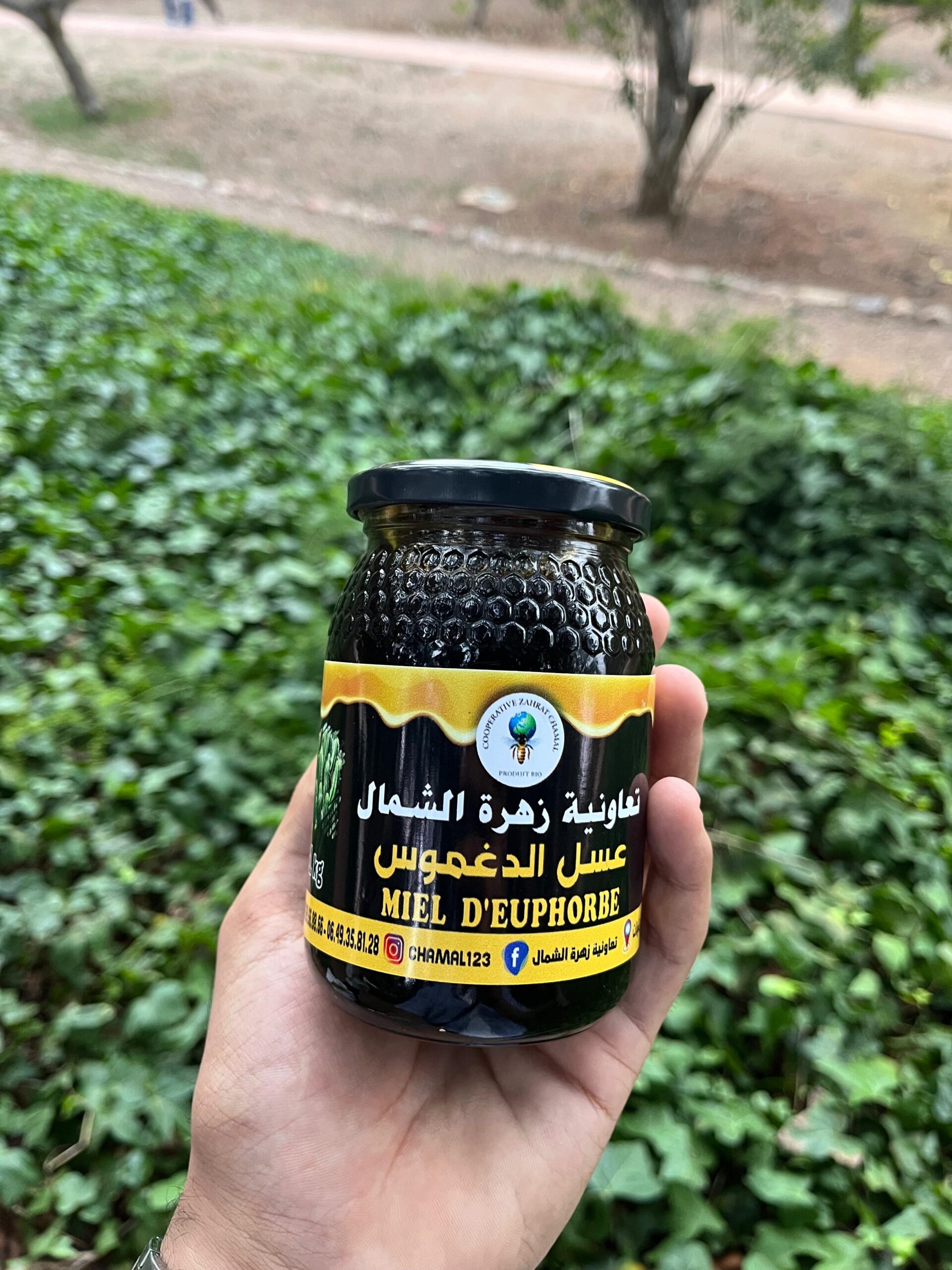 miel d'euphorbe (dagmous) (عسل الدغموس) miel d'euphorbe (dagmous) (عسل الدغموس)