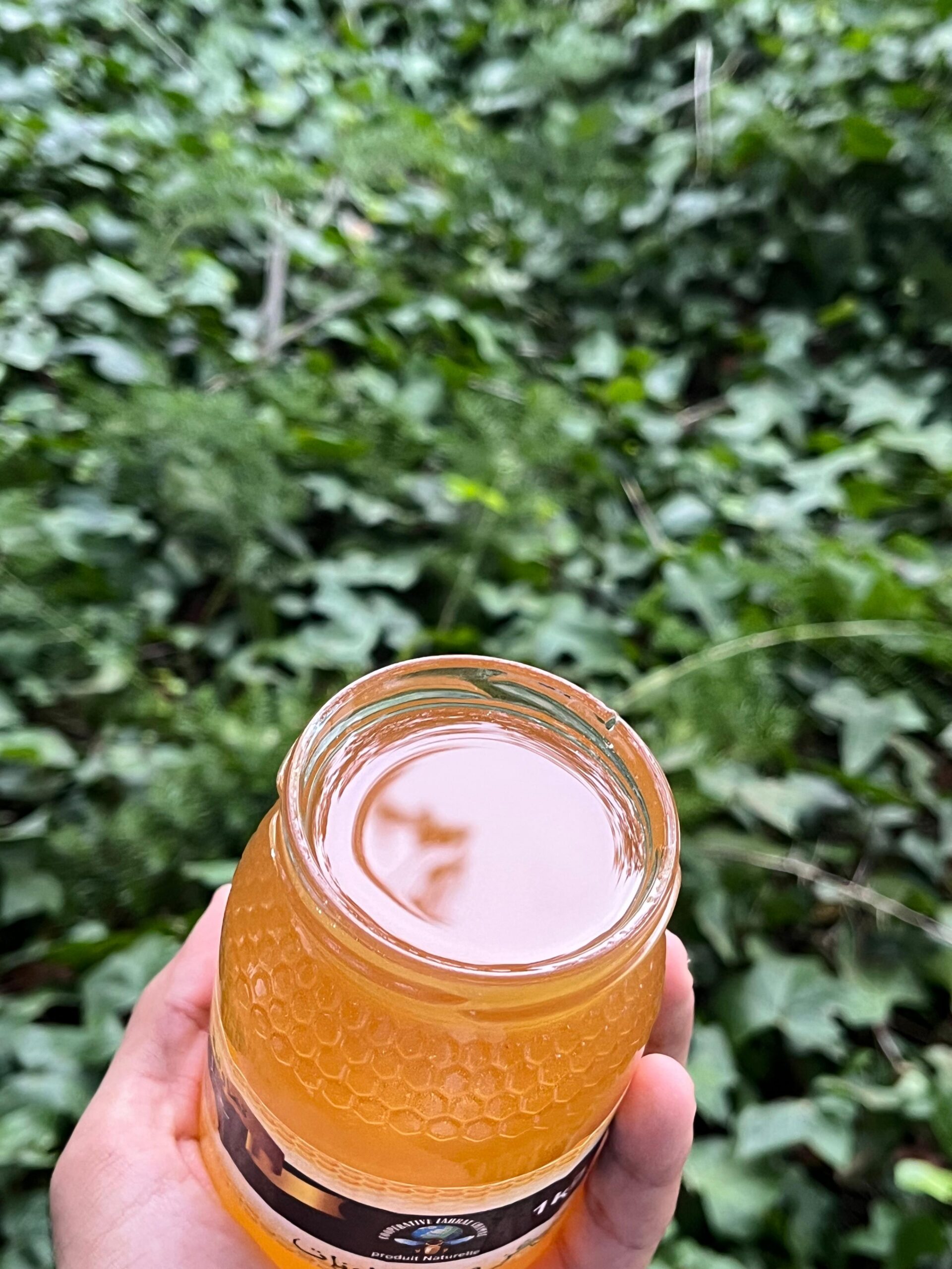 miel de citronnier (عسل الليمون) miel de citronnier (عسل الليمون)