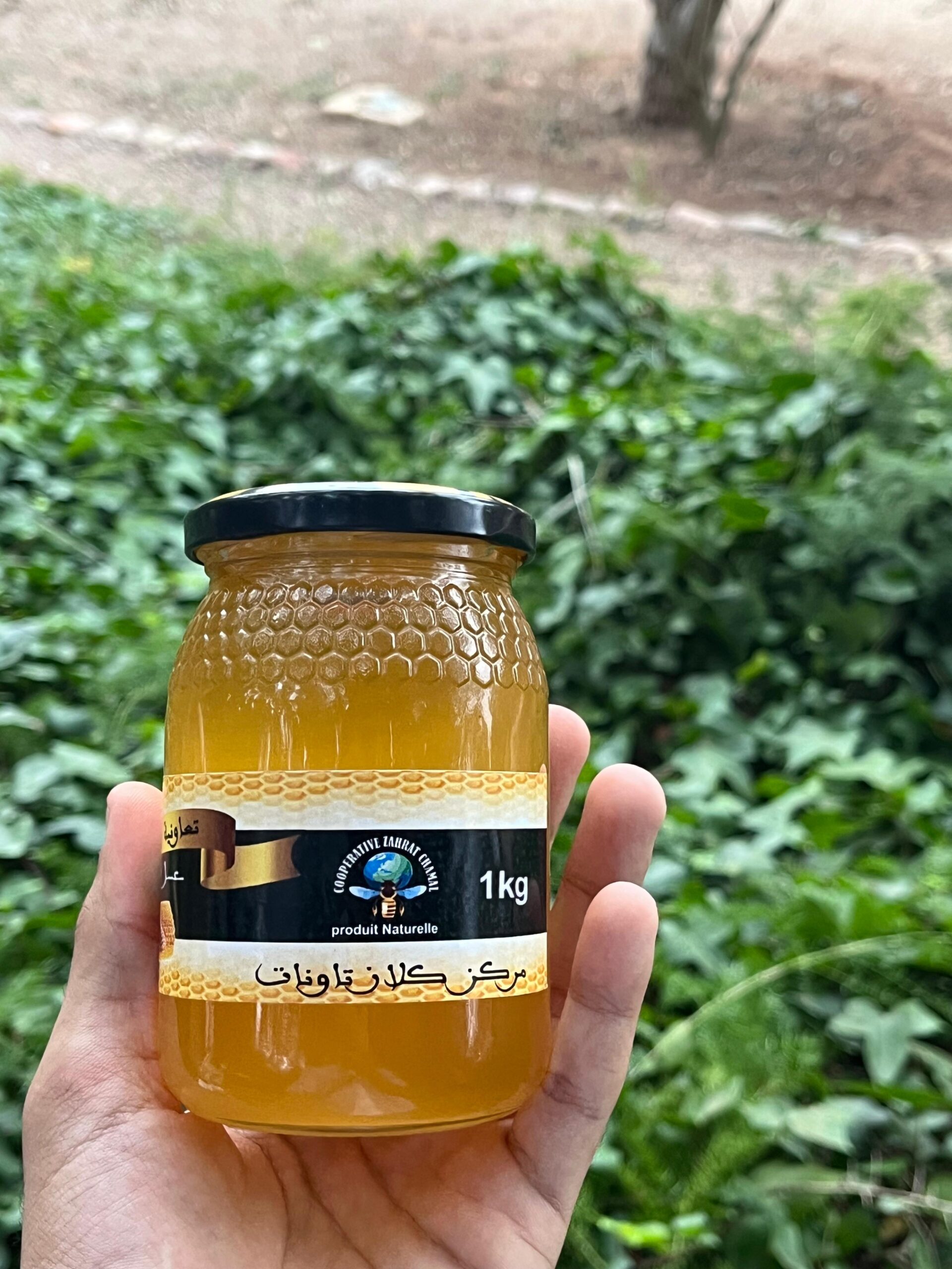 miel de citronnier (عسل الليمون) miel de citronnier (عسل الليمون)