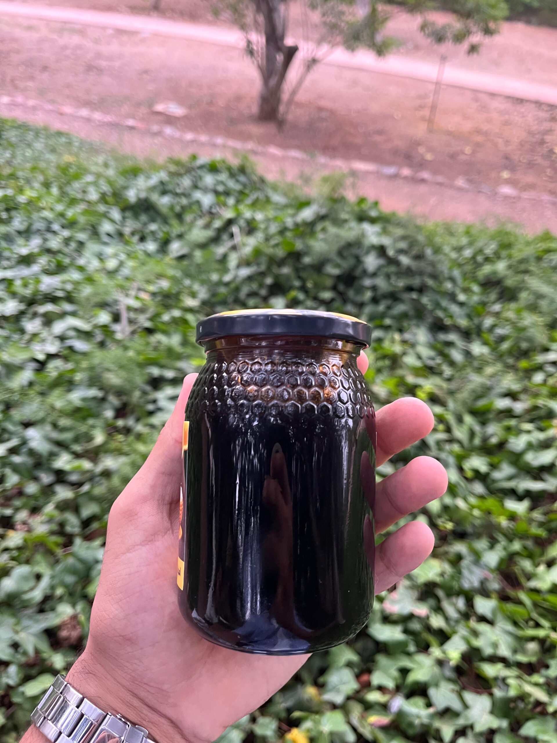 miel d'euphorbe (dagmous) (عسل الدغموس) miel d'euphorbe (dagmous) (عسل الدغموس)