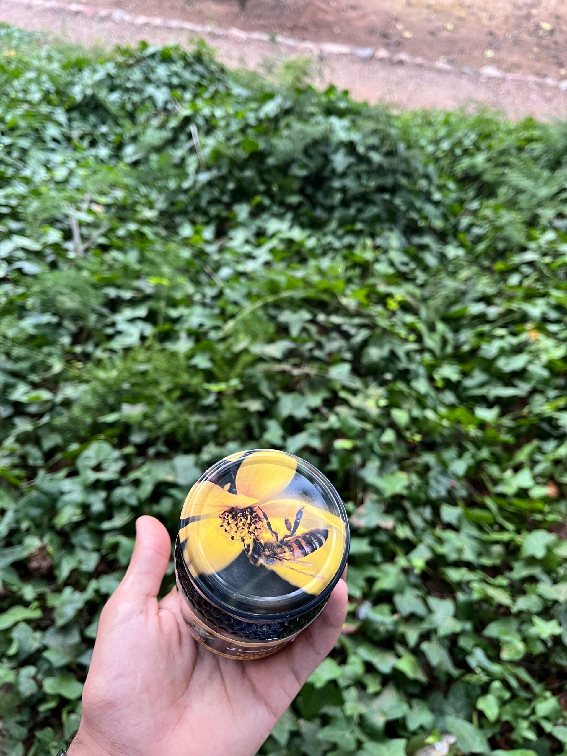 miel d'euphorbe (dagmous) (عسل الدغموس) miel d'euphorbe (dagmous) (عسل الدغموس)