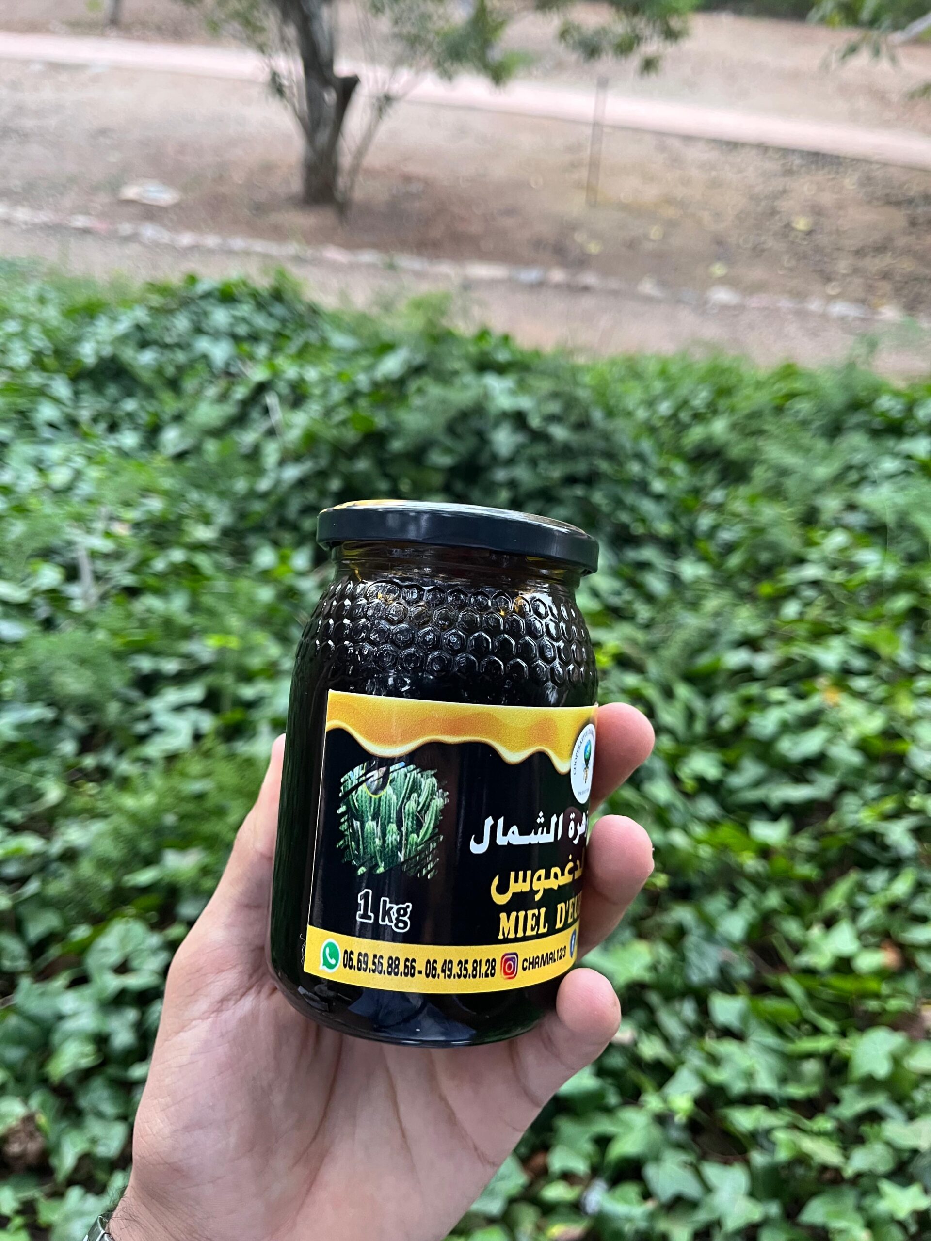 miel d'euphorbe (dagmous) (عسل الدغموس) miel d'euphorbe (dagmous) (عسل الدغموس)