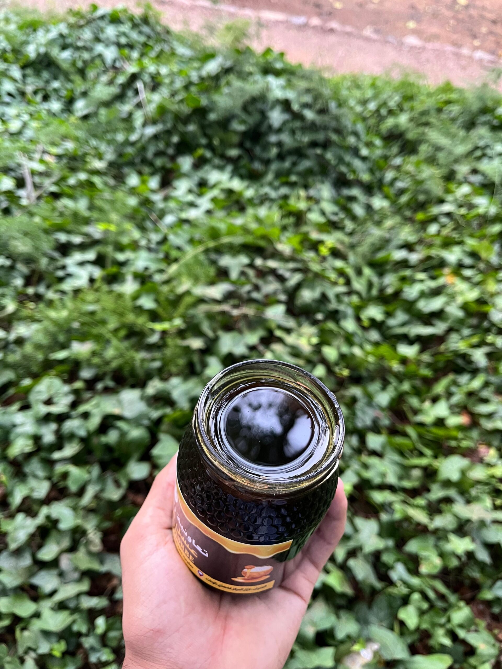 miel d'euphorbe (dagmous) (عسل الدغموس) miel d'euphorbe (dagmous) (عسل الدغموس)