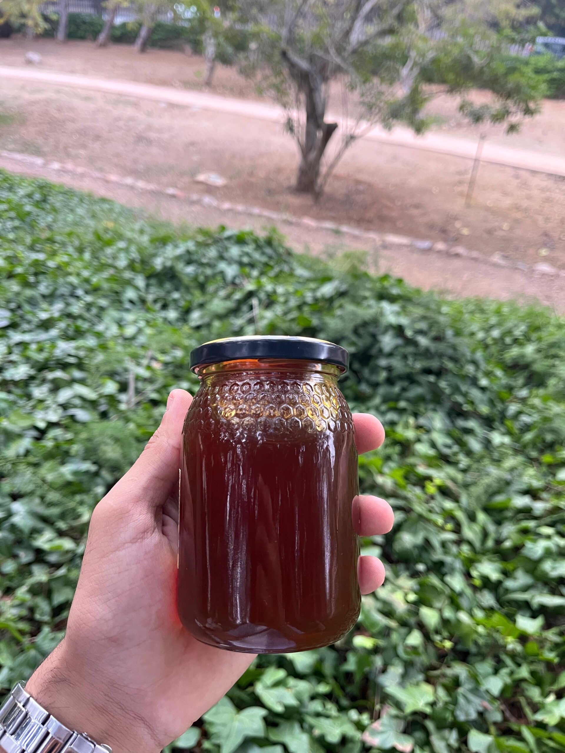 miel de caroubier (عسل الخروب) miel de caroubier (عسل الخروب)