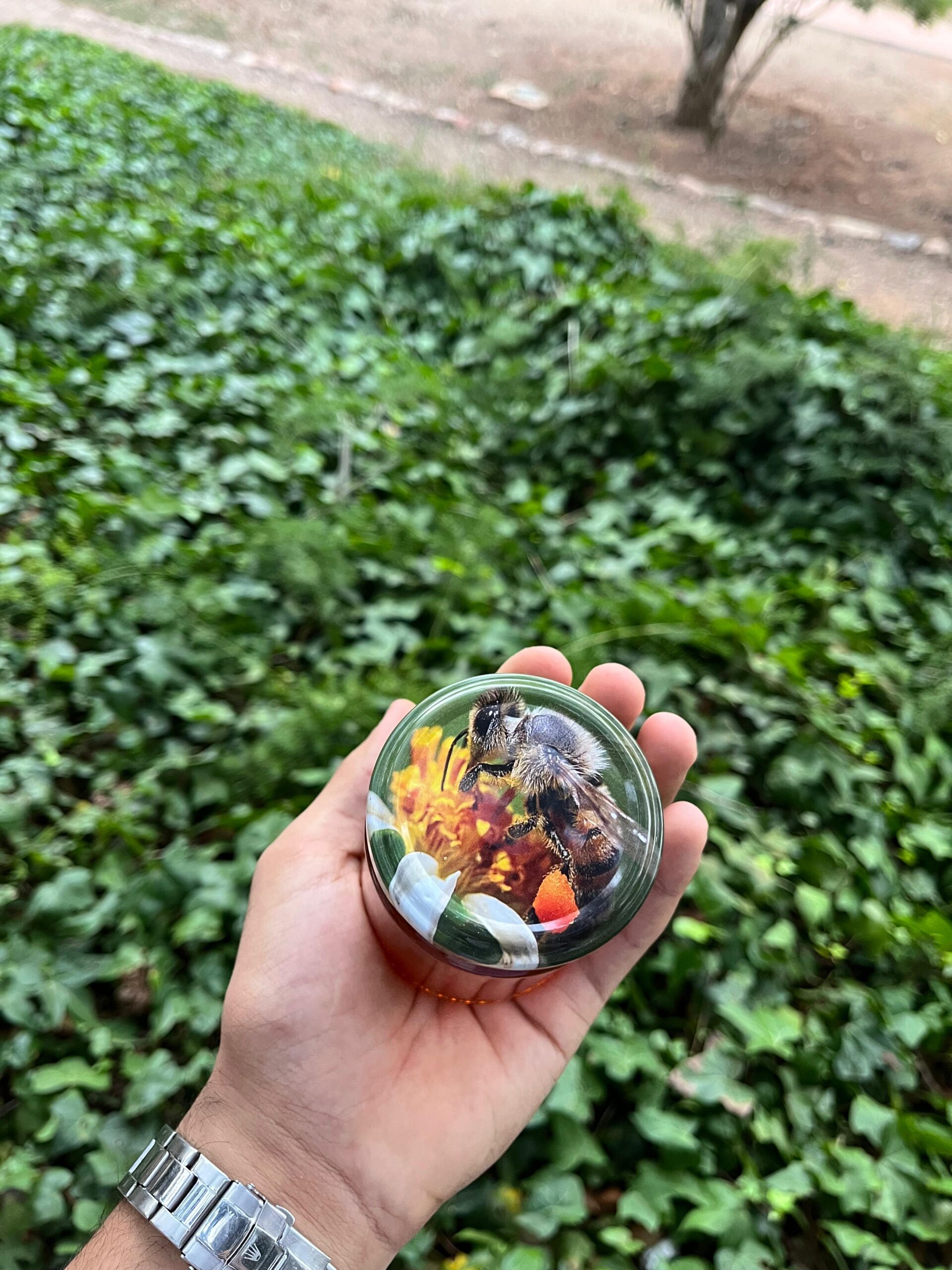 miel d'herbes de montagne (عسل أعشاب جبلية) miel d'herbes de montagne (عسل أعشاب جبلية)