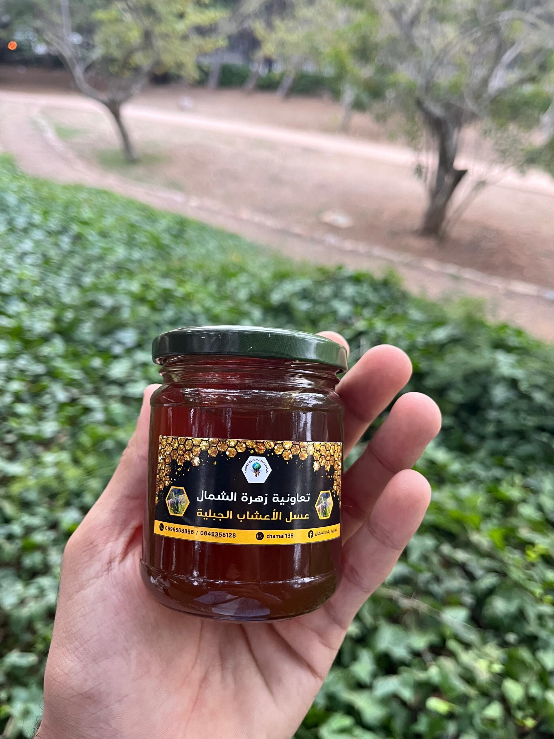 miel d'herbes de montagne (عسل أعشاب جبلية) miel d'herbes de montagne (عسل أعشاب جبلية)