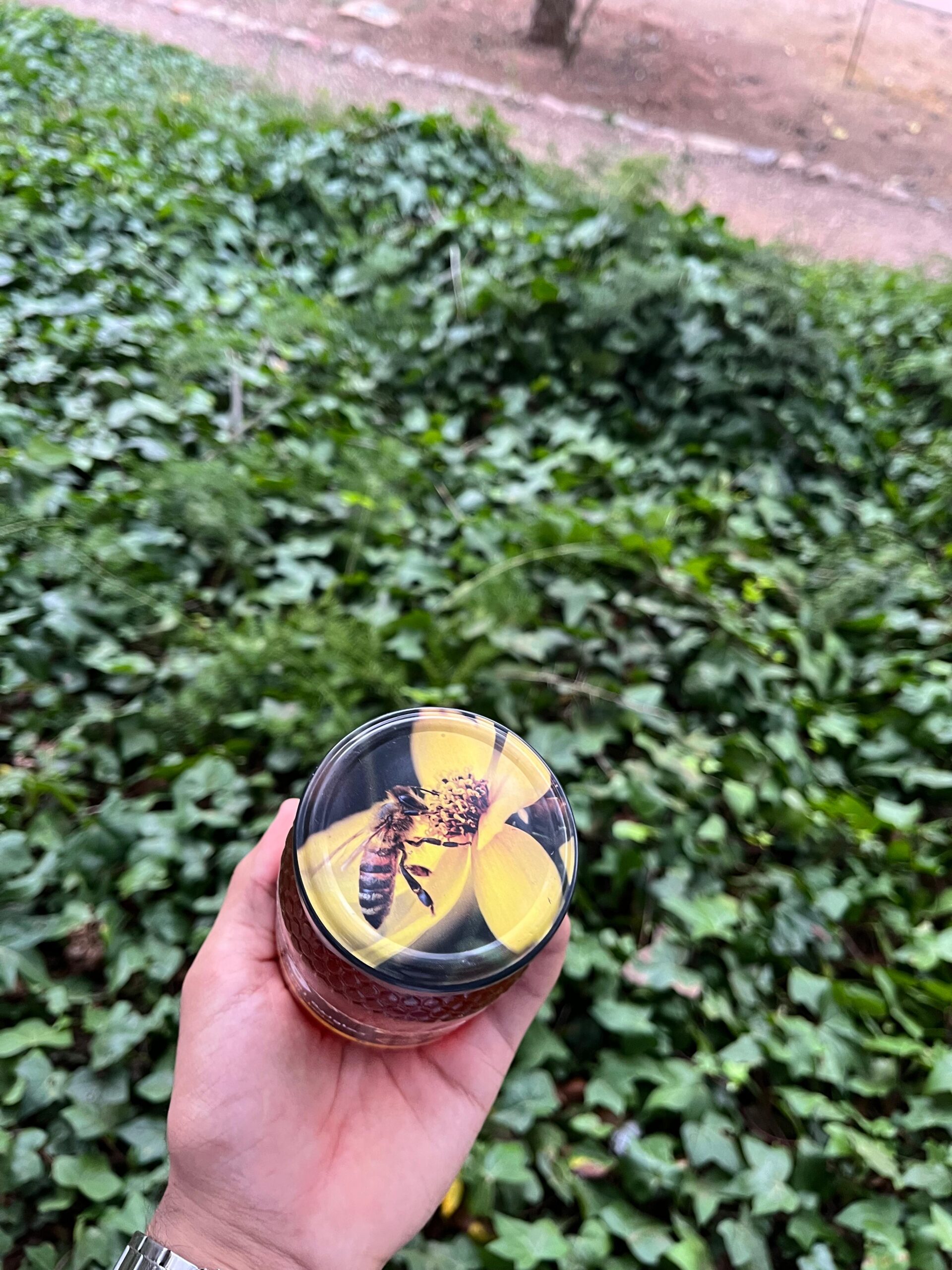 miel de caroubier (عسل الخروب) miel de caroubier (عسل الخروب)