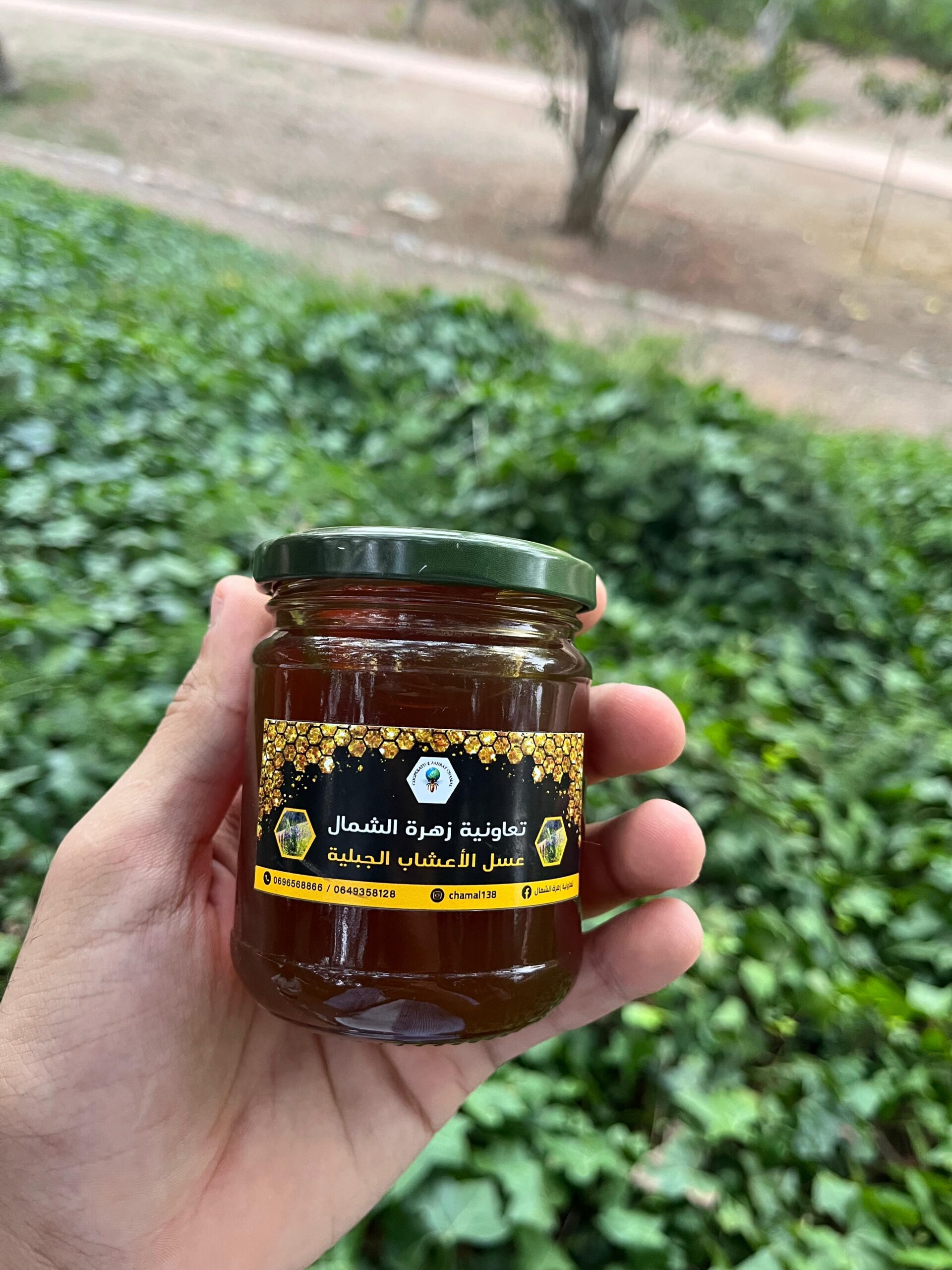 miel d'herbes de montagne (عسل أعشاب جبلية) miel d'herbes de montagne (عسل أعشاب جبلية)