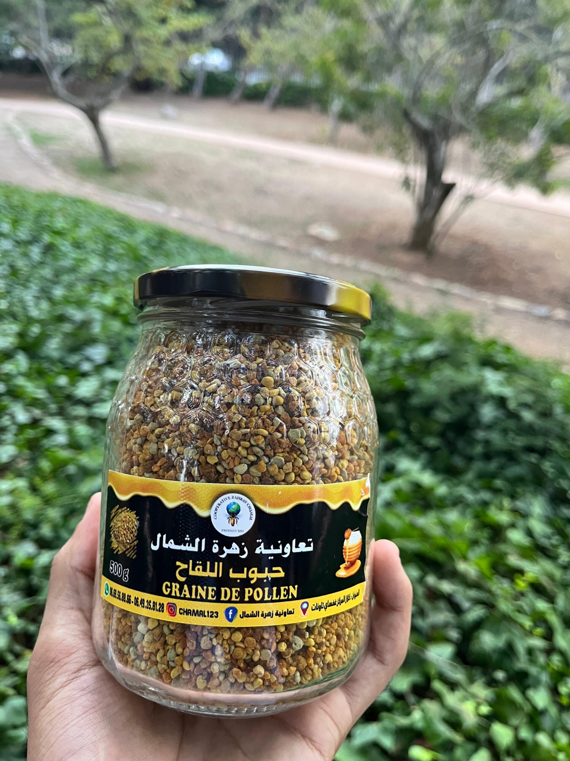 grains de pollen (حبوب اللقاح) grains de pollen (حبوب اللقاح)
