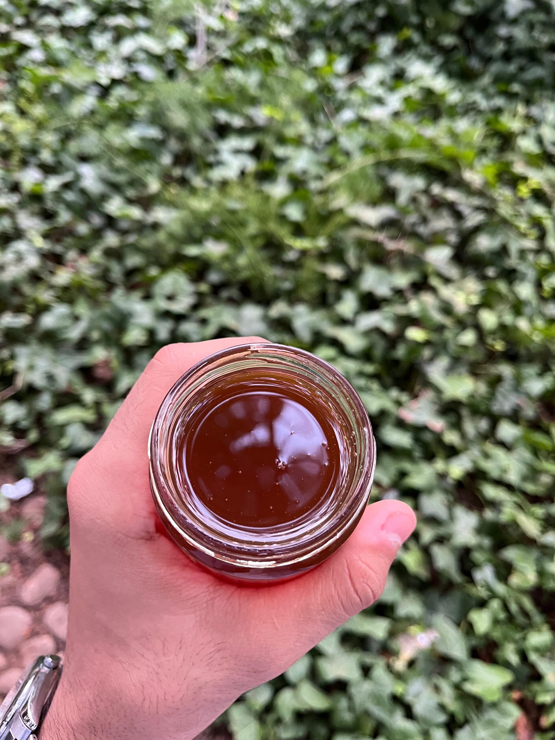 miel d'herbes de montagne (عسل أعشاب جبلية) miel d'herbes de montagne (عسل أعشاب جبلية)