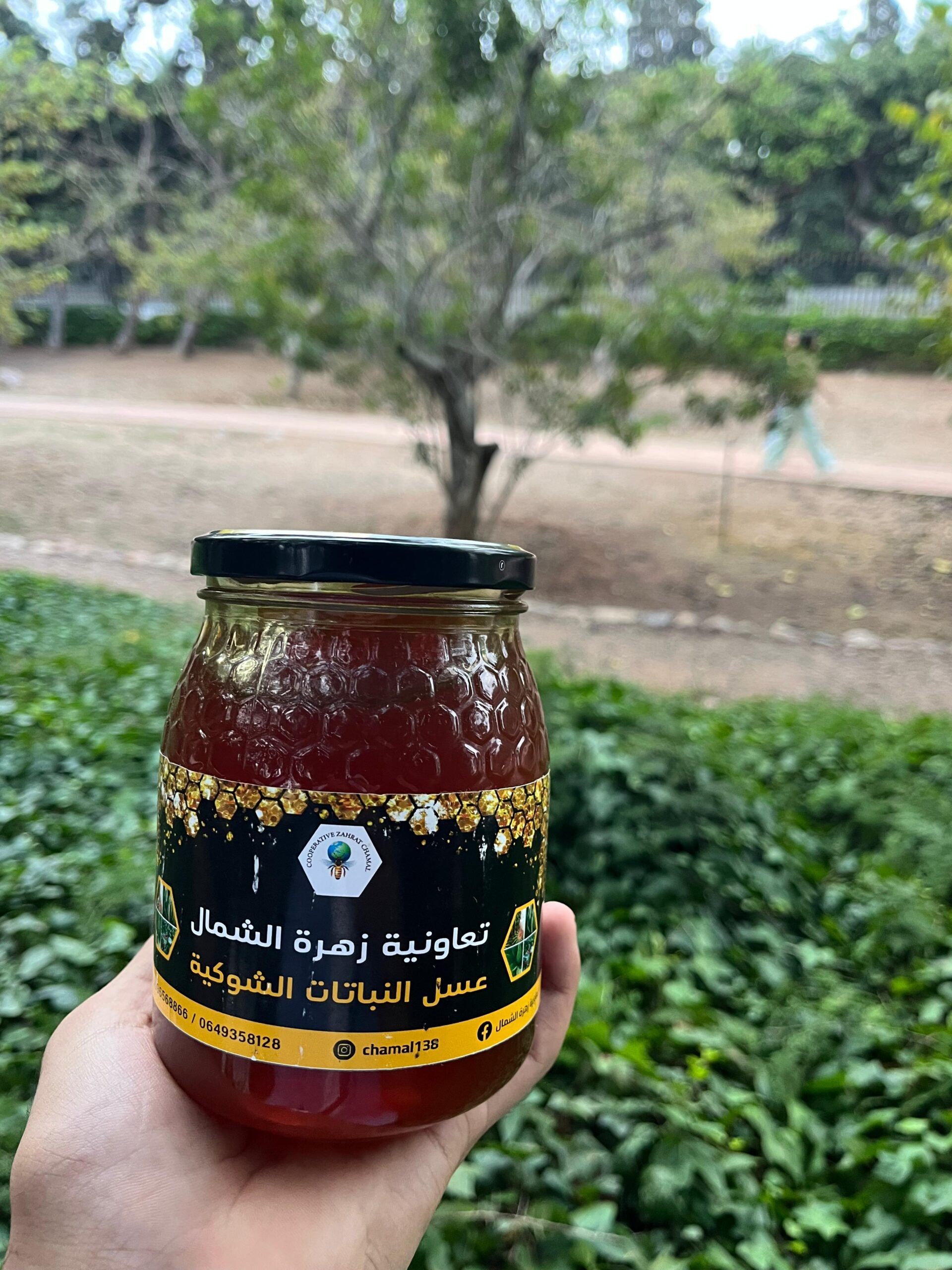 miel de chardon (عسل الشوكيات) miel de chardon (عسل الشوكيات)