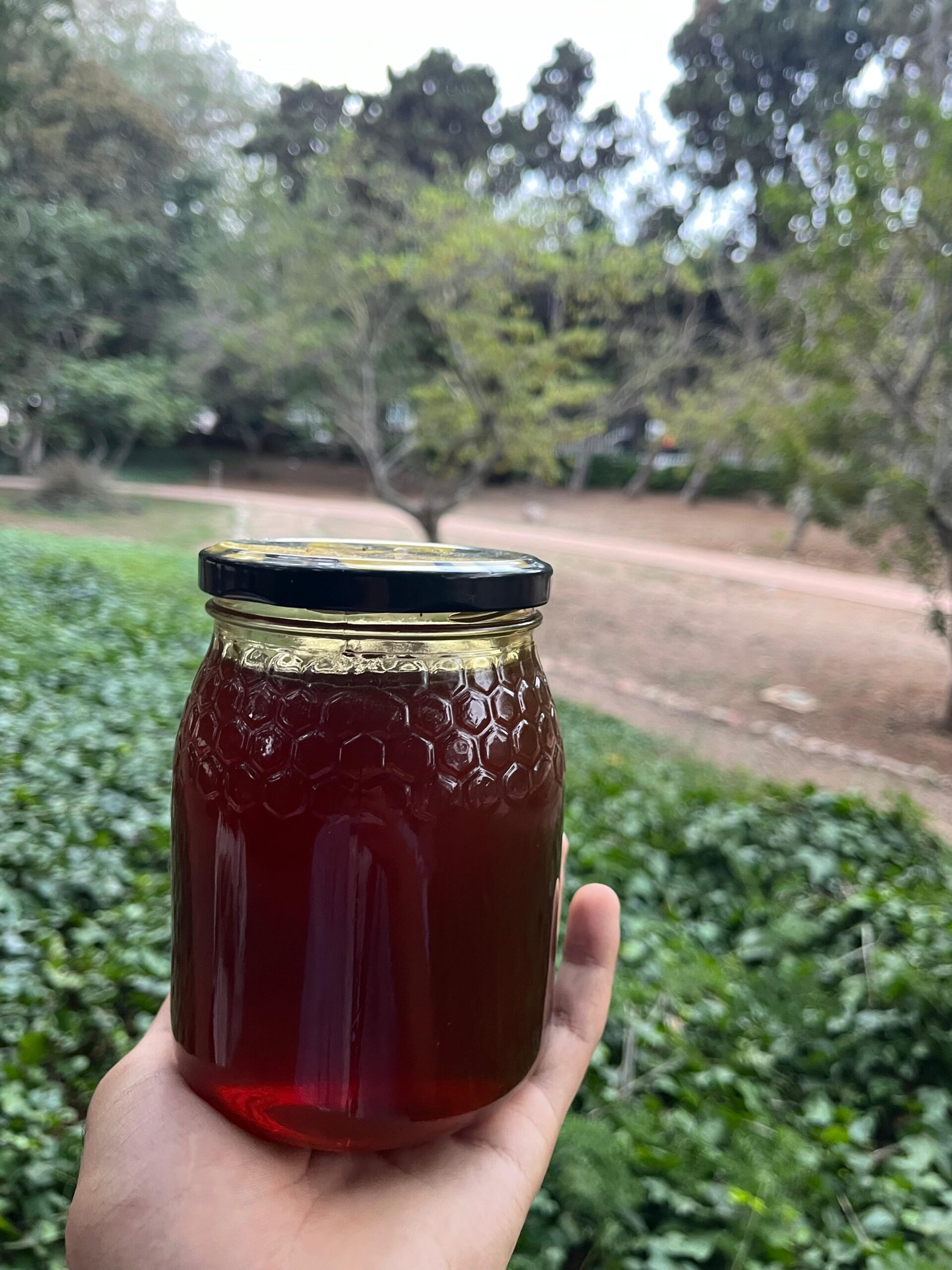 miel de chardon (عسل الشوكيات) miel de chardon (عسل الشوكيات)