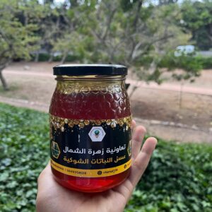 miel de chardon (عسل الشوكيات)