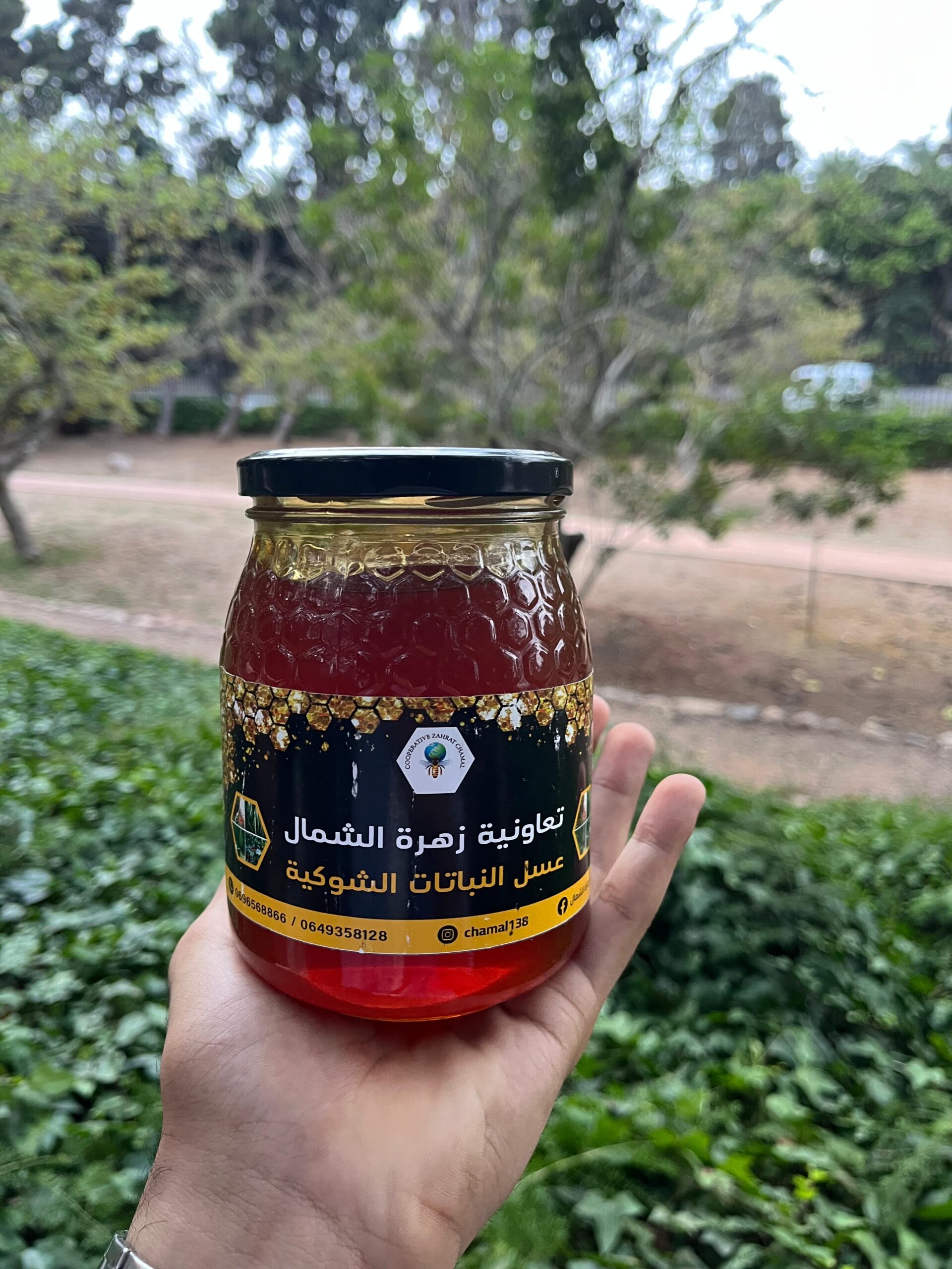 miel de chardon (عسل الشوكيات) miel de chardon (عسل الشوكيات)