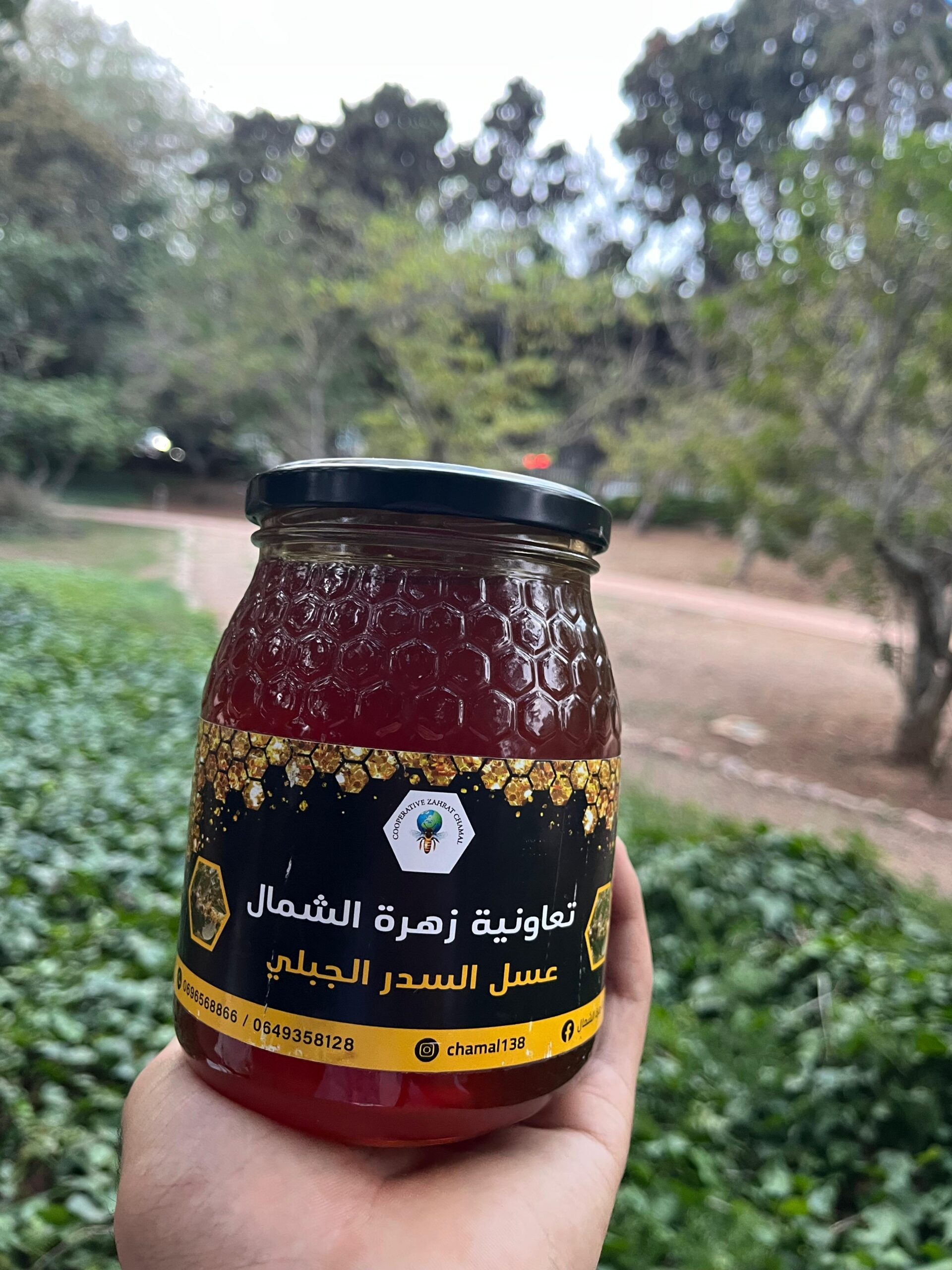 miel de jujubier (sidr) (عسل السدر) miel de jujubier (sidr) (عسل السدر)