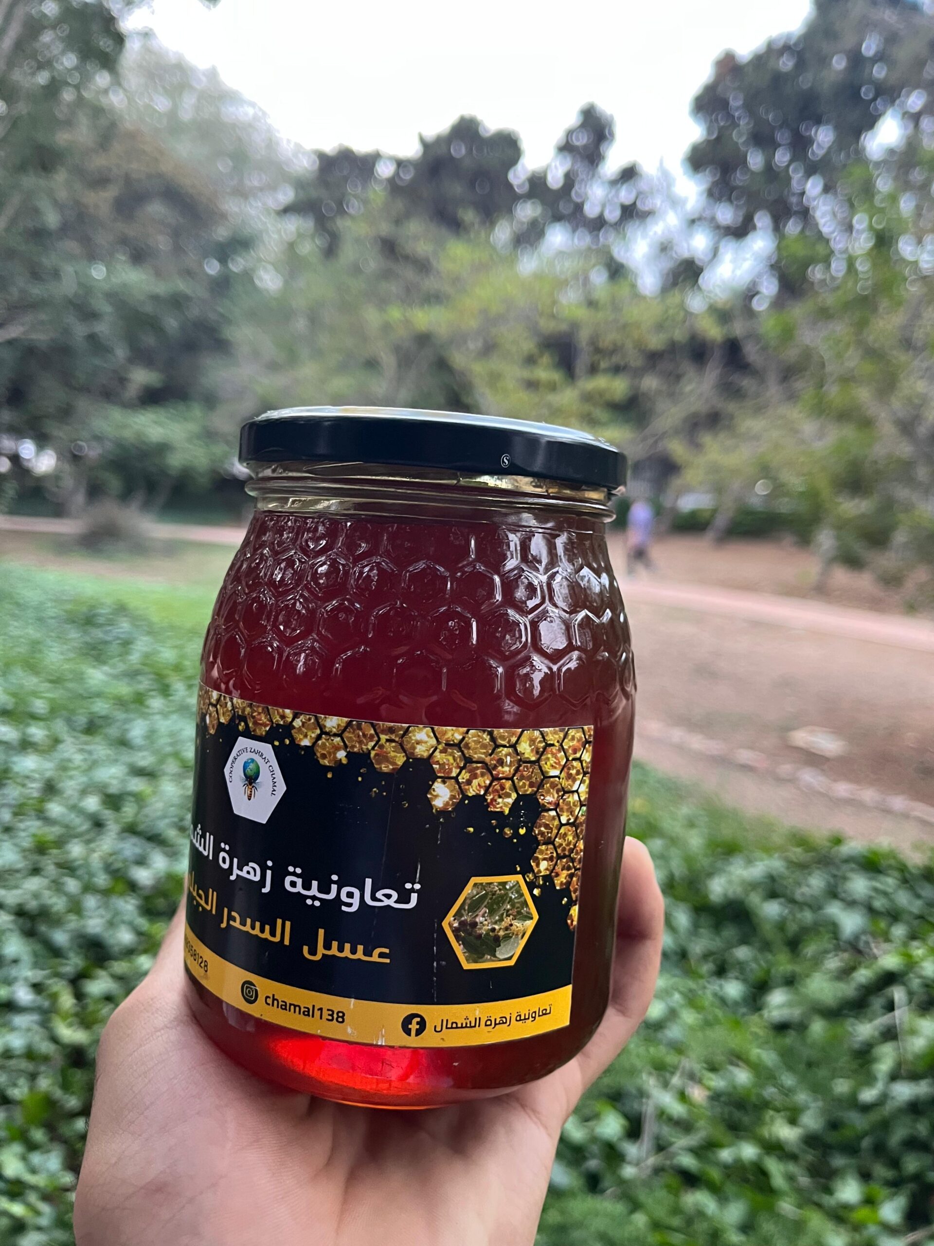 miel de jujubier (sidr) (عسل السدر) miel de jujubier (sidr) (عسل السدر)
