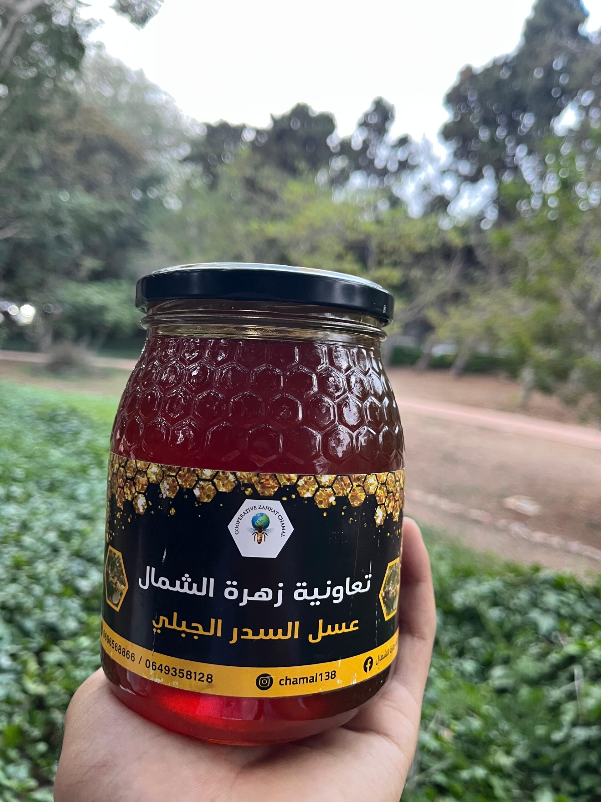 miel de jujubier (sidr) (عسل السدر) miel de jujubier (sidr) (عسل السدر)