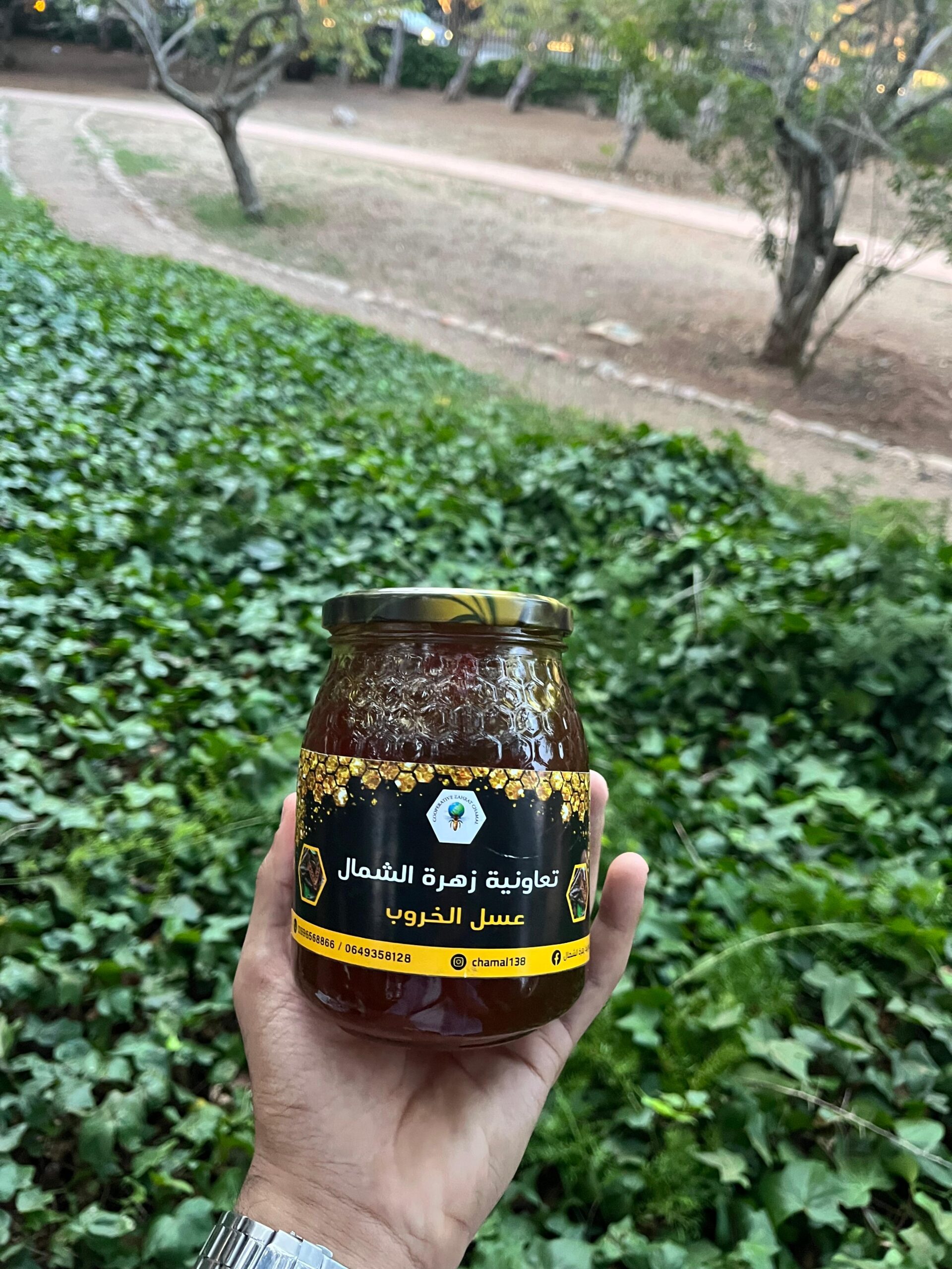 miel de caroubier (عسل الخروب) miel de caroubier (عسل الخروب)