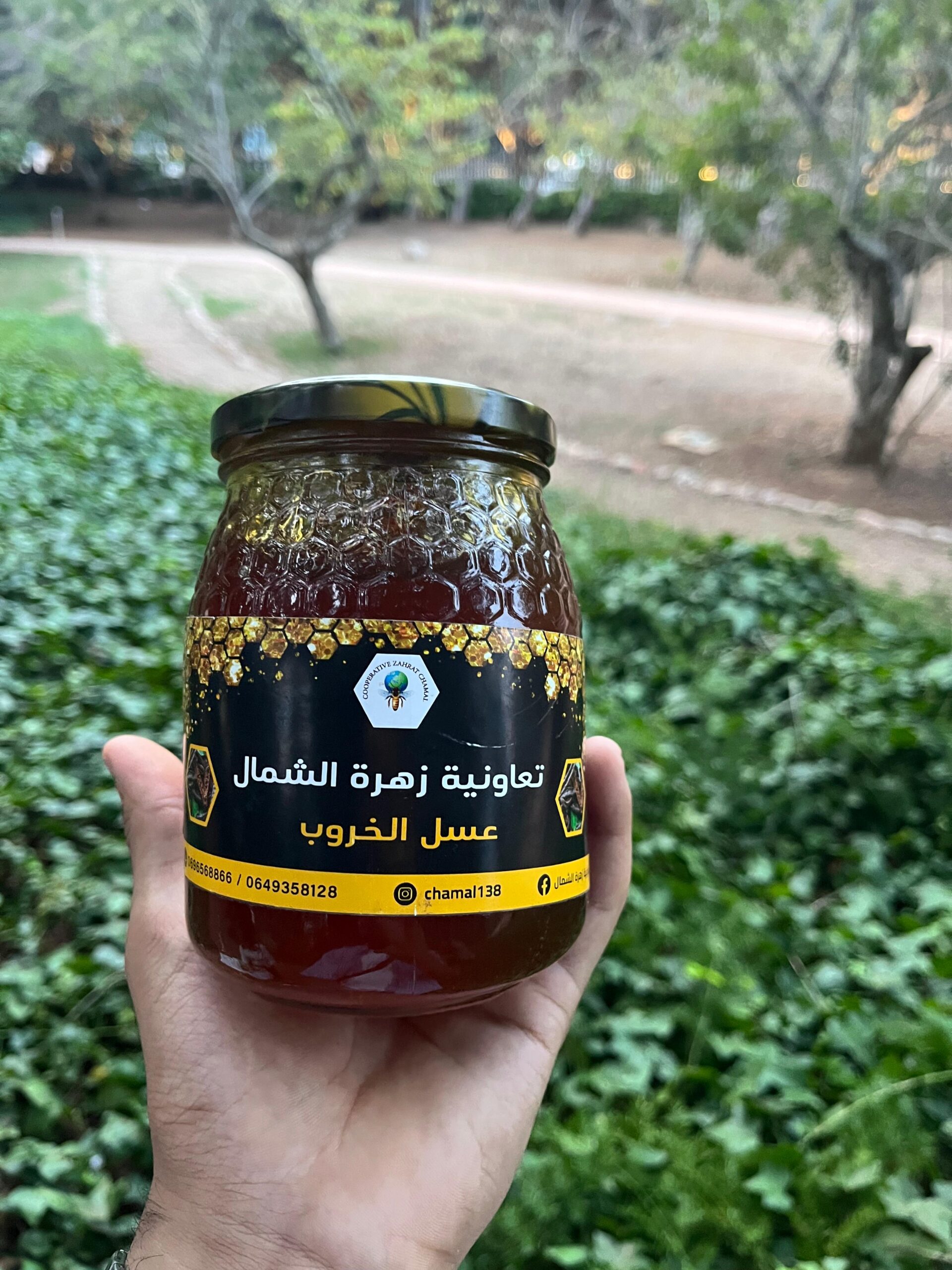 miel de caroubier (عسل الخروب) miel de caroubier (عسل الخروب)