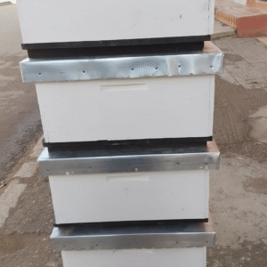 ruche vide (خلية نحل فارغة)