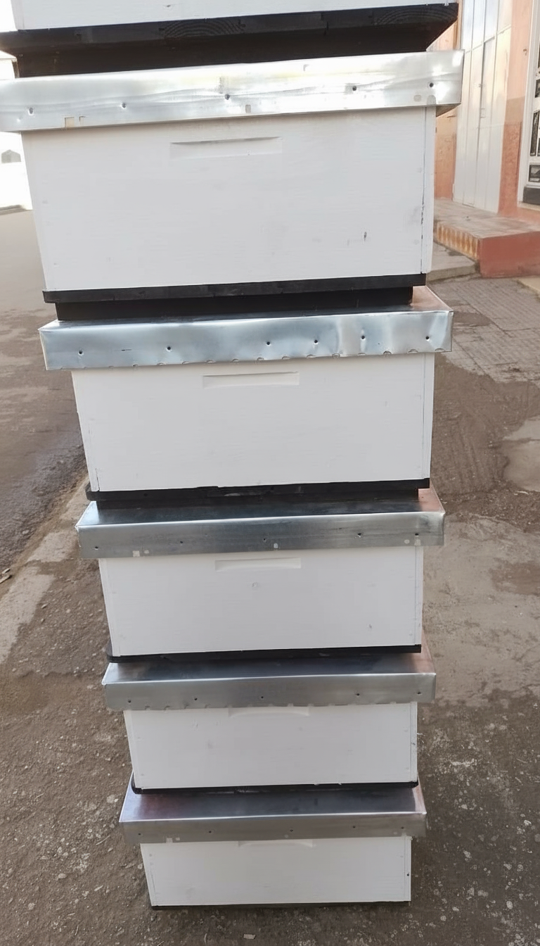 ruche vide (خلية نحل فارغة) ruche vide (خلية نحل فارغة)